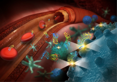 Cancer Theranostics