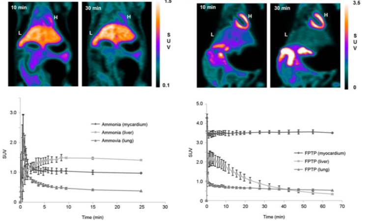 Cardiovascular imaging
