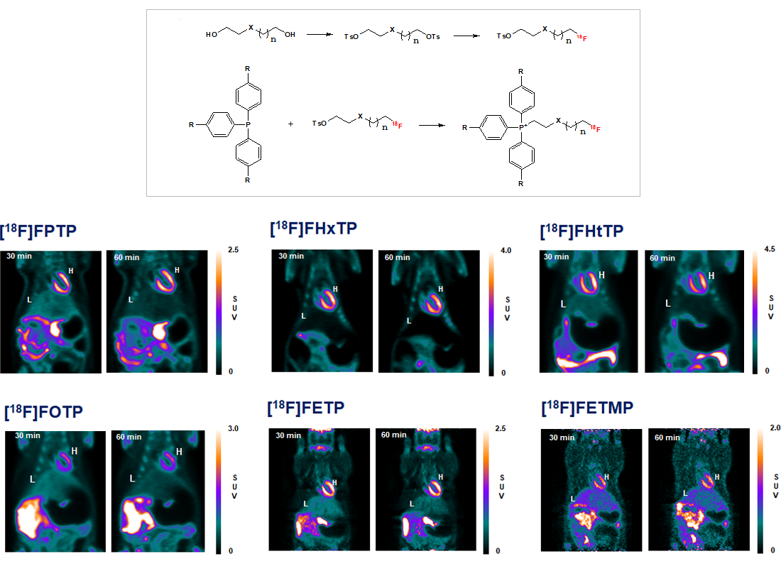 Development of 18F labeled myocardial imaging agents