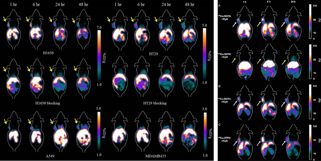 Nuclear medicine imaging system